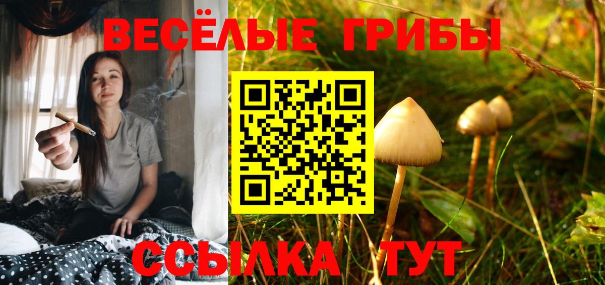 Псилоцибиновые грибы GOLDEN TEACHER Нальчик
