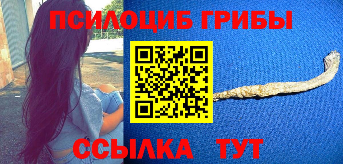 купить наркотик  Вход с VPN  Нальчик  Галлюциногенные грибы Psilocybine cubensis  Галлюциногенные грибы ЛСД 